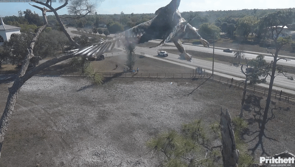 SWFL E26 flies again