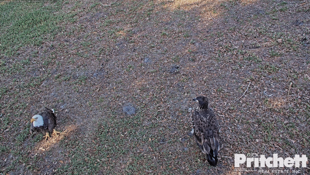 SWFL M15 delivers fish to E26