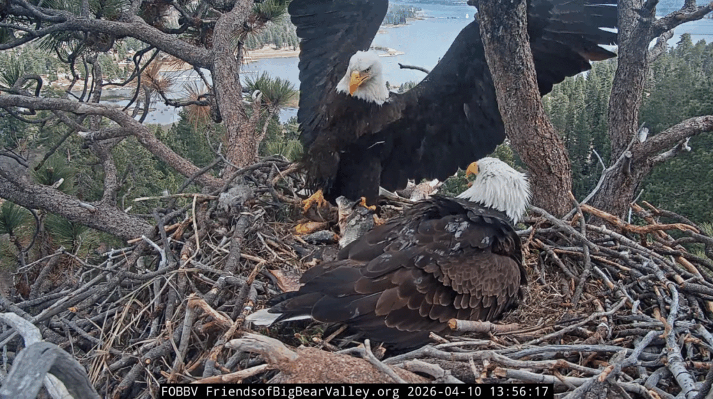 FOBBV Jackie brings home huge fish