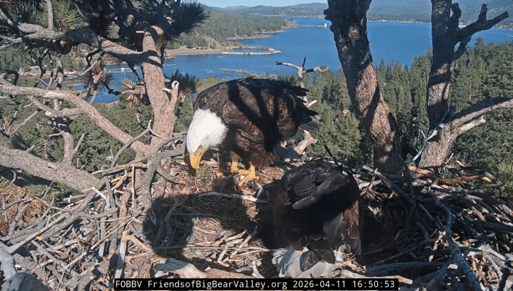 FOBBV Jackie enjoys fish