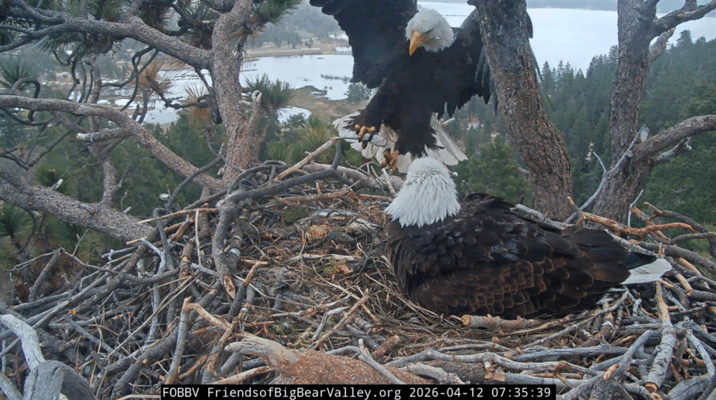 FOBBV Jackie fish delivery