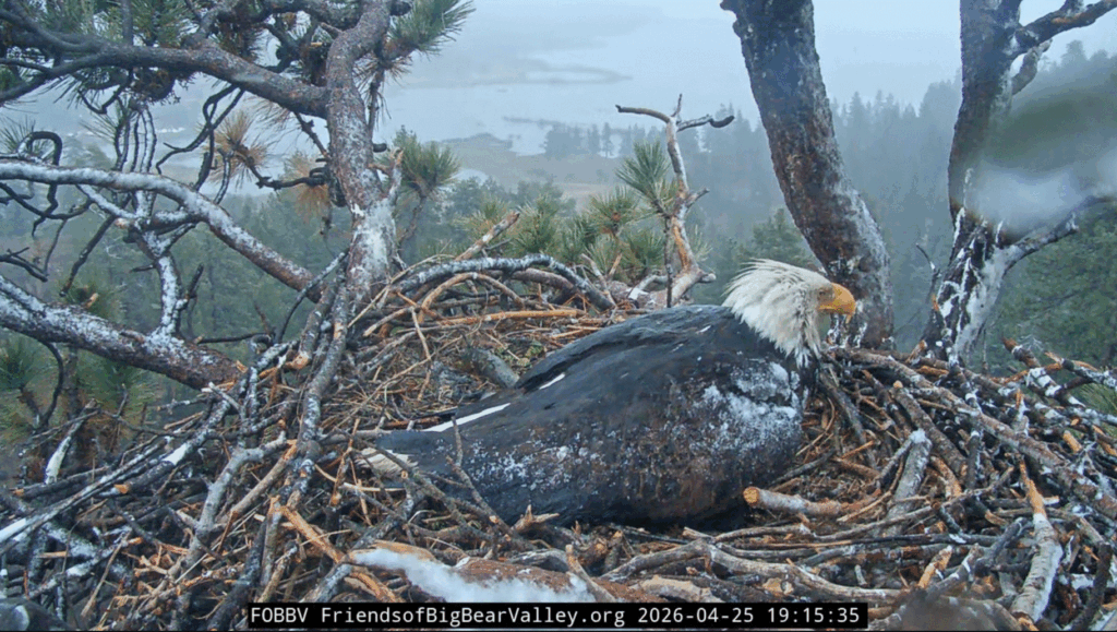 Big Bear Valley rain