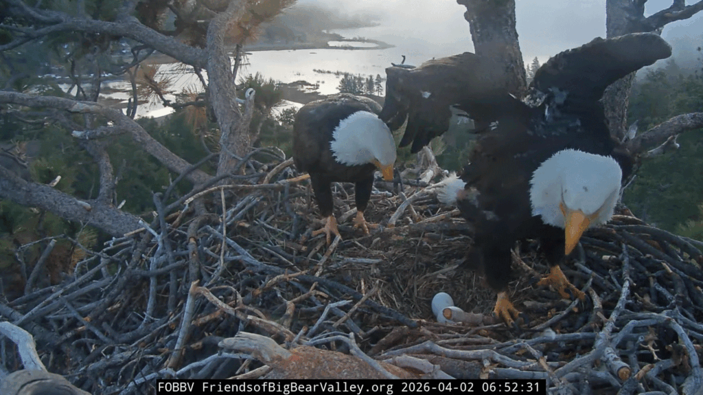 FOBBV shift change as pip watch continues