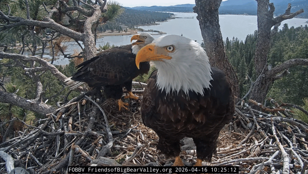 Big Bear Valley Shadow closeup with Jackie