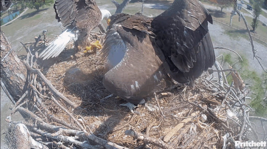 SWFL M15 delivers fish