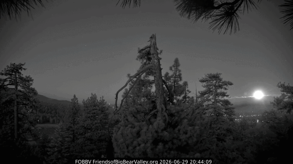 FOBBV full moon at the Big Bear Lake