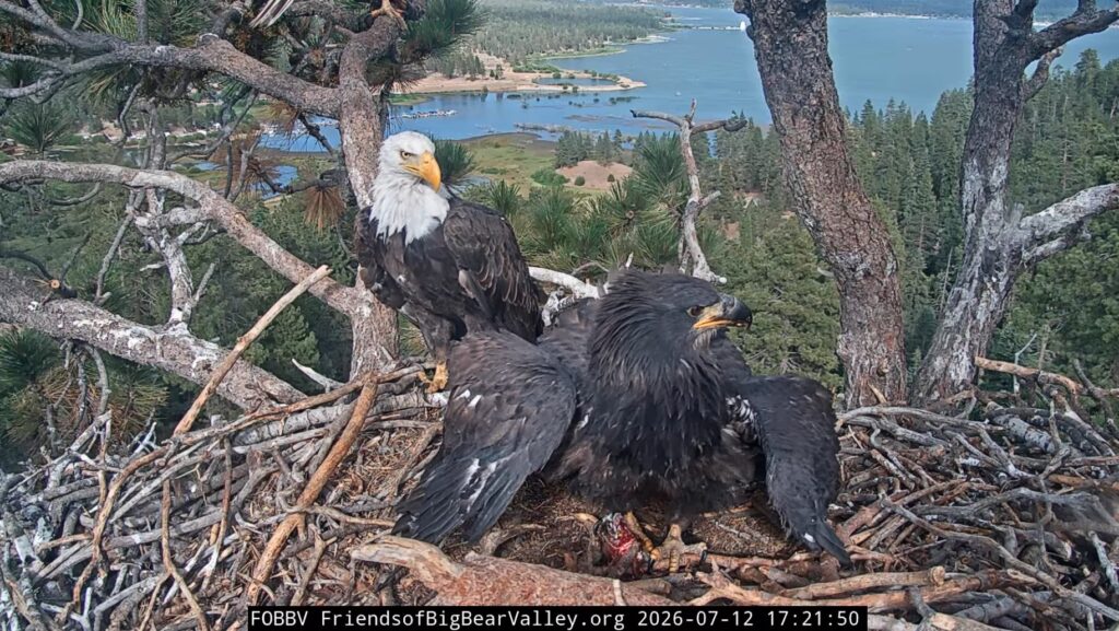 FOBBV happy reunion eagle family