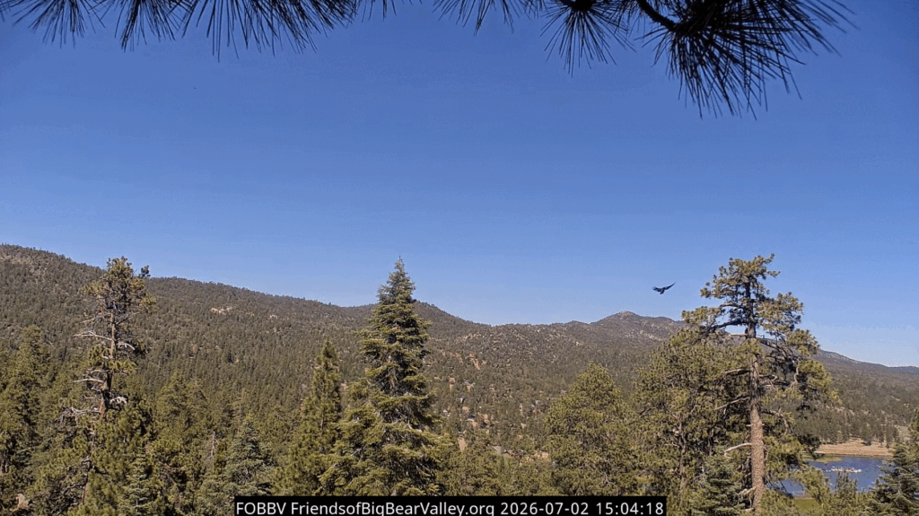 FOBBV Luna landing on ST