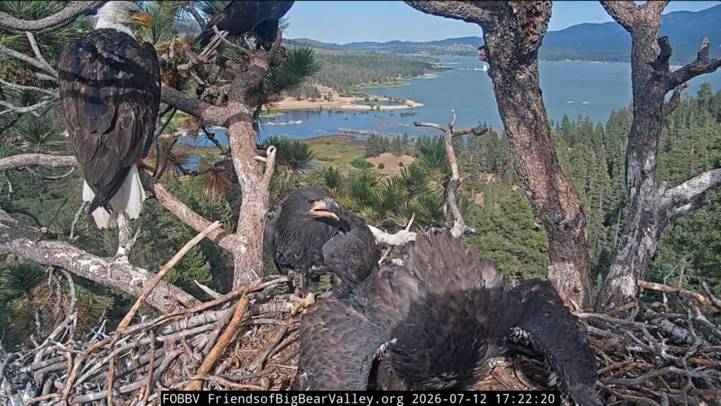 FOBBV happy reunion eagle family