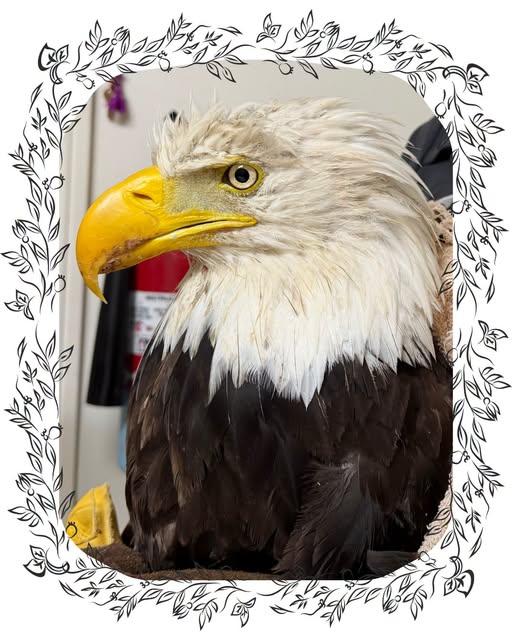 Jackie passed away 8/10